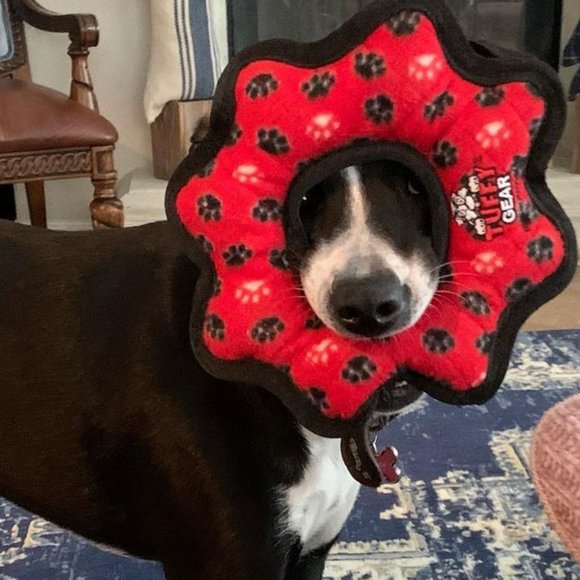 Meet your Posher, Kristi - Picture 10 of 13